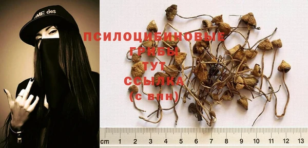 бутират Беломорск